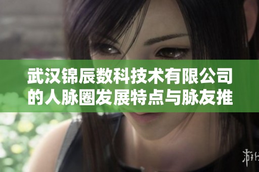 武漢錦辰數科技術有限公司的人脈圈發(fā)展特點與脈友推薦分析