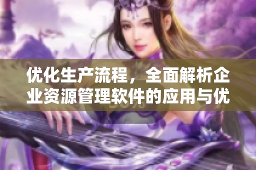 優(yōu)化生產(chǎn)流程，全面解析企業(yè)資源管理軟件的應(yīng)用與優(yōu)勢(shì)