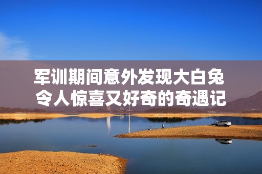 軍訓(xùn)期間意外發(fā)現(xiàn)大白兔 令人驚喜又好奇的奇遇記 軍訓(xùn)期間意外發(fā)現(xiàn)大白兔 令人驚喜又好奇的奇遇記