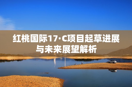 紅桃國際17·C項目起草進展與未來展望解析