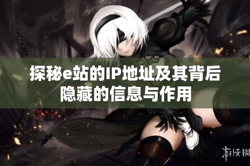 探秘e站的IP地址及其背后隱藏的信息與作用