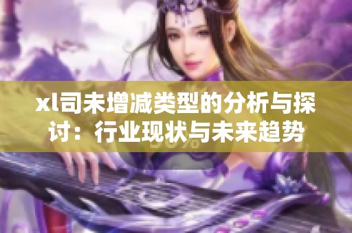 xl司未增減類型的分析與探討：行業(yè)現(xiàn)狀與未來趨勢