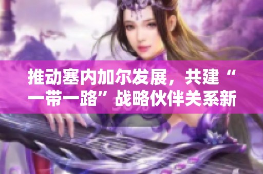 推動(dòng)塞內(nèi)加爾發(fā)展，共建“一帶一路”戰(zhàn)略伙伴關(guān)系新機(jī)遇
