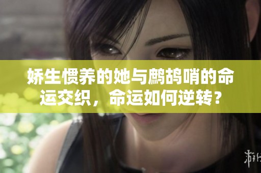 嬌生慣養(yǎng)的她與鷓鴣哨的命運(yùn)交織，命運(yùn)如何逆轉(zhuǎn)？