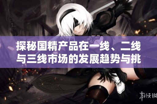 探秘國精產(chǎn)品在一線、二線與三線市場的發(fā)展趨勢與挑戰(zhàn)
