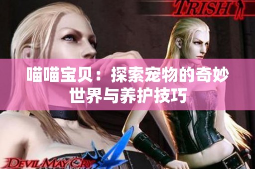 喵喵寶貝：探索寵物的奇妙世界與養(yǎng)護(hù)技巧