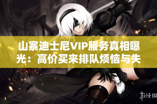 山寨迪士尼VIP服務(wù)真相曝光：高價(jià)買來排隊(duì)煩惱與失落