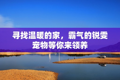 尋找溫暖的家，霸氣的銳雯寵物等你來(lái)領(lǐng)養(yǎng)