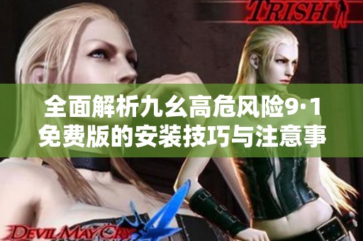 全面解析九幺高危風險9·1免費版的安裝技巧與注意事項