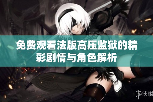 免費觀看法版高壓監(jiān)獄的精彩劇情與角色解析