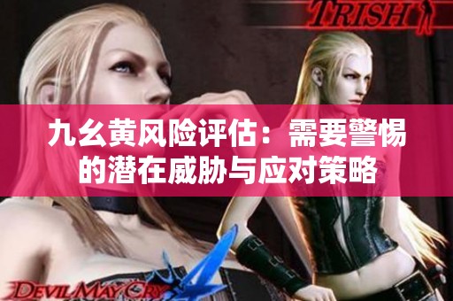 九幺黃風(fēng)險評估：需要警惕的潛在威脅與應(yīng)對策略