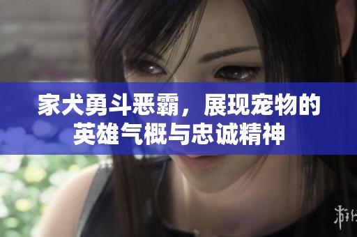 家犬勇斗惡霸<div   id=
