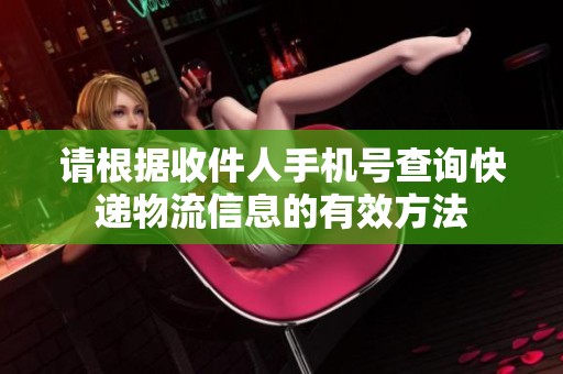 請根據(jù)收件人手機(jī)號查詢快遞物流信息的有效方法