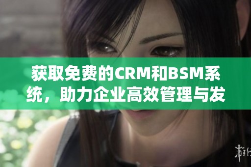 獲取免費(fèi)的CRM和BSM系統(tǒng)，助力企業(yè)高效管理與發(fā)展