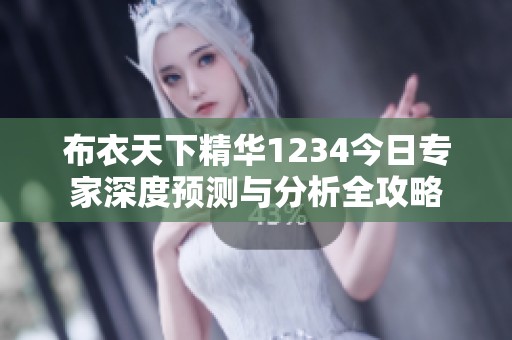 布衣天下精華1234今日專家深度預(yù)測與分析全攻略