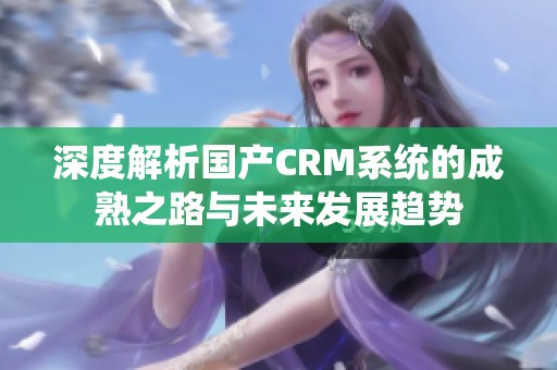 深度解析國(guó)產(chǎn)CRM系統(tǒng)的成熟之路與未來發(fā)展趨勢(shì)