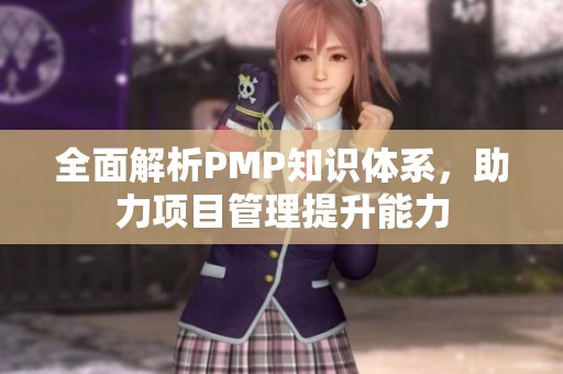 全面解析PMP知識體系，助力項(xiàng)目管理提升能力
