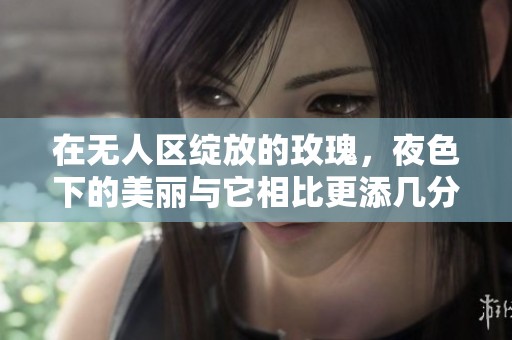 在無人區(qū)綻放的玫瑰，夜色下的美麗與它相比更添幾分動人