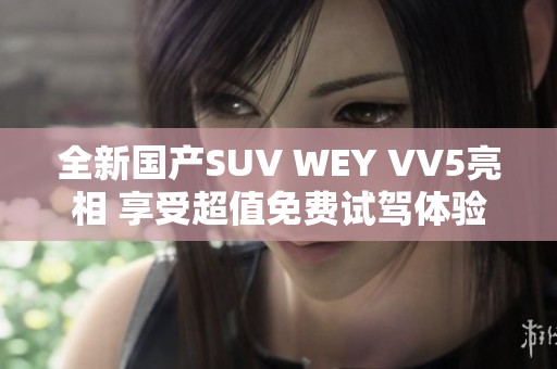 全新國產(chǎn)SUV WEY VV5亮相 享受超值免費(fèi)試駕體驗(yàn)
