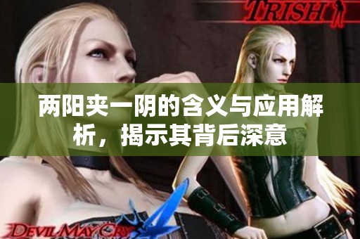 兩陽夾一陰的含義與應(yīng)用解析，揭示其背后深意