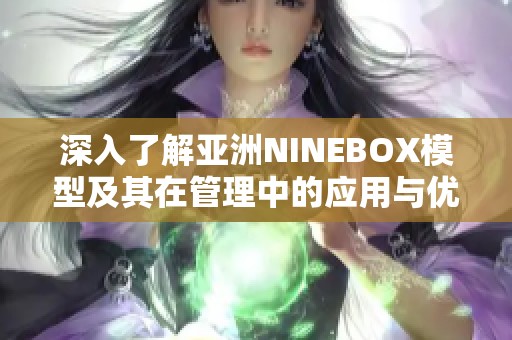 深入了解亞洲NINEBOX模型及其在管理中的應(yīng)用與優(yōu)勢(shì)