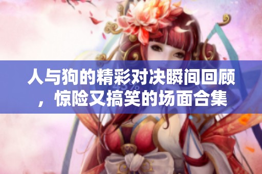 人與狗的精彩對決瞬間回顧，驚險又搞笑的場面合集