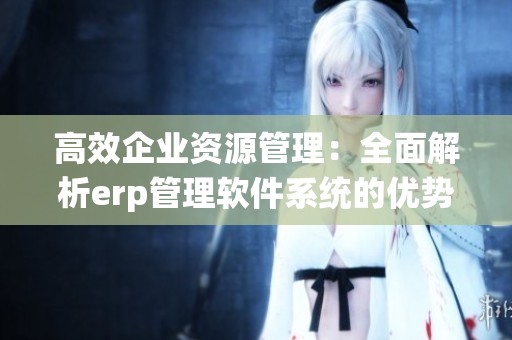 高效企業(yè)資源管理：全面解析erp管理軟件系統(tǒng)的優(yōu)勢(shì)與應(yīng)用