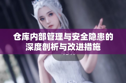 倉(cāng)庫(kù)內(nèi)部管理與安全隱患的深度剖析與改進(jìn)措施