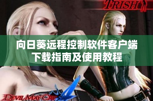 向日葵遠(yuǎn)程控制軟件客戶端下載指南及使用教程
