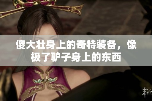 傻大壯身上的奇特裝備，像極了驢子身上的東西
