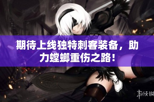 期待上線獨(dú)特刺客裝備，助力螳螂重傷之路！
