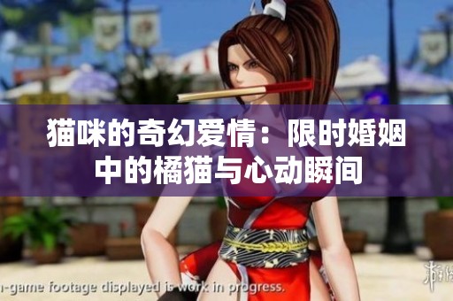 貓咪的奇幻愛情：限時婚姻中的橘貓與心動瞬間