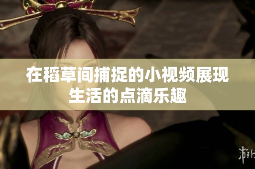 在稻草間捕捉的小視頻展現(xiàn)生活的點(diǎn)滴樂趣