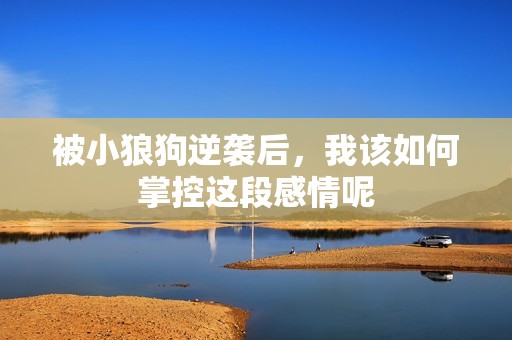 被小狼狗逆襲后，我該如何掌控這段感情呢