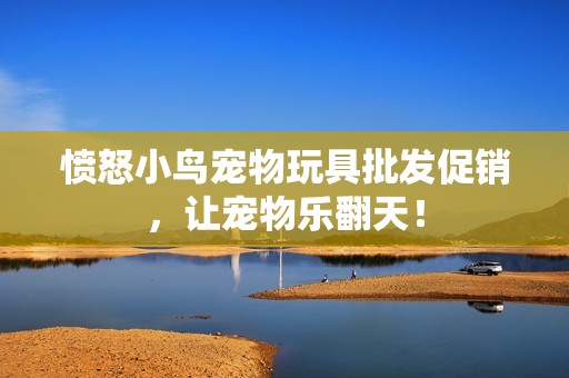 憤怒小鳥寵物玩具批發(fā)促銷，讓寵物樂翻天！
