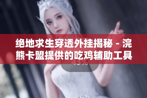 絕地求生穿透外掛揭秘 - 浣熊卡盟提供的吃雞輔助工具分析