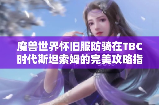 魔獸世界懷舊服防騎在TBC時(shí)代斯坦索姆的完美攻略指南